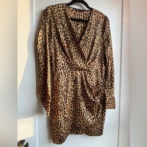 Zara Leopard Print Long-Sleeve Dress